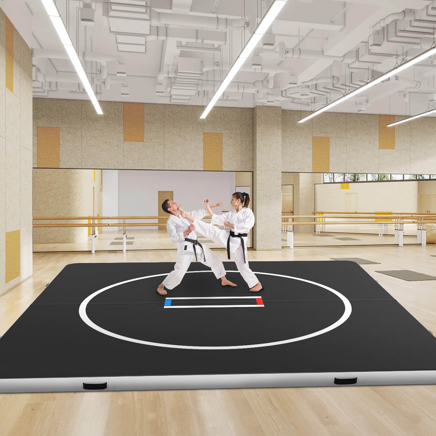 professional 10 ft x 10 ft inflatable wrestling mat for sale