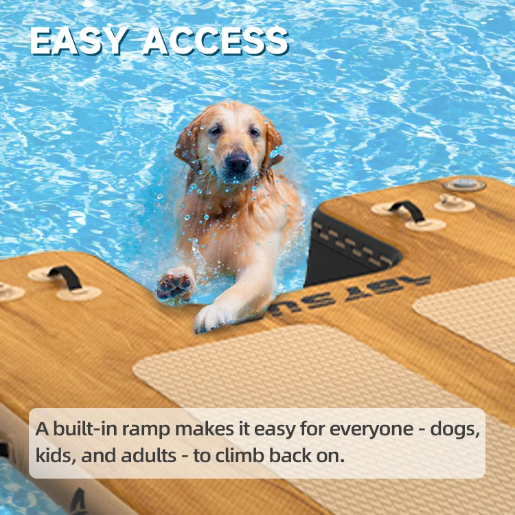 Dog climbing a ramp in a swimming pool, showcasing easy access for pets and people. Text reads 'Easy Access'.