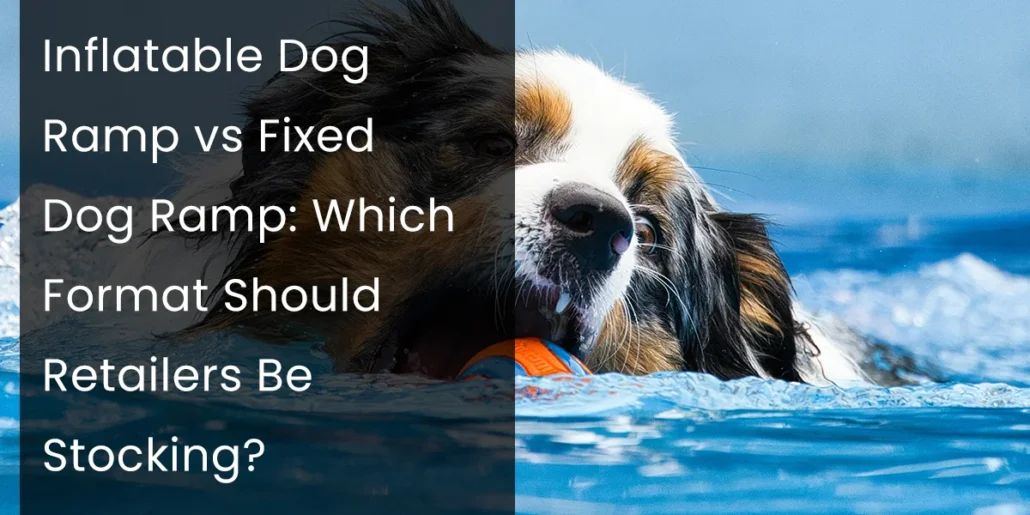 Dog swimming in a pool, holding an orange toy, with text discussing inflatable vs fixed dog ramps.