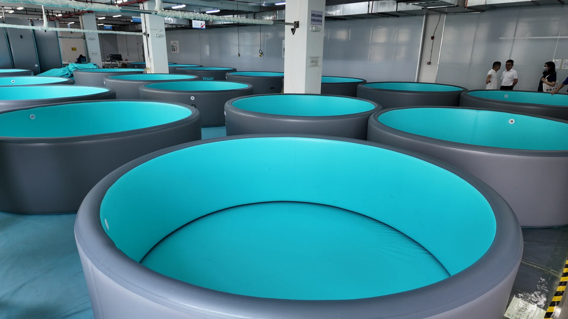 Several large, gray and turquoise round aquaculture tanks placed in an indoor facility with a clean, organized environment.